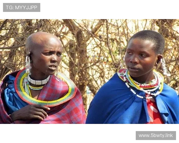 非洲直播：探索神秘大陆的壮丽风光与风土人情